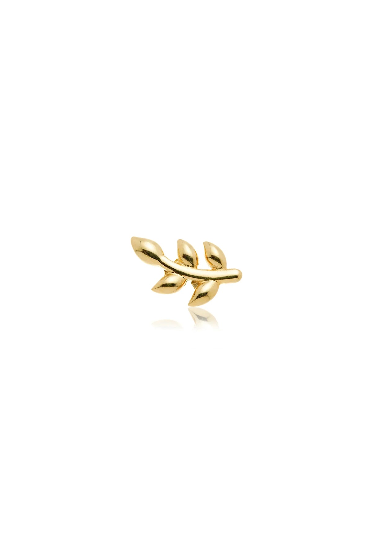 Tish Lyon Olive Branch solid 14k yellow gold flat-back piercing stud