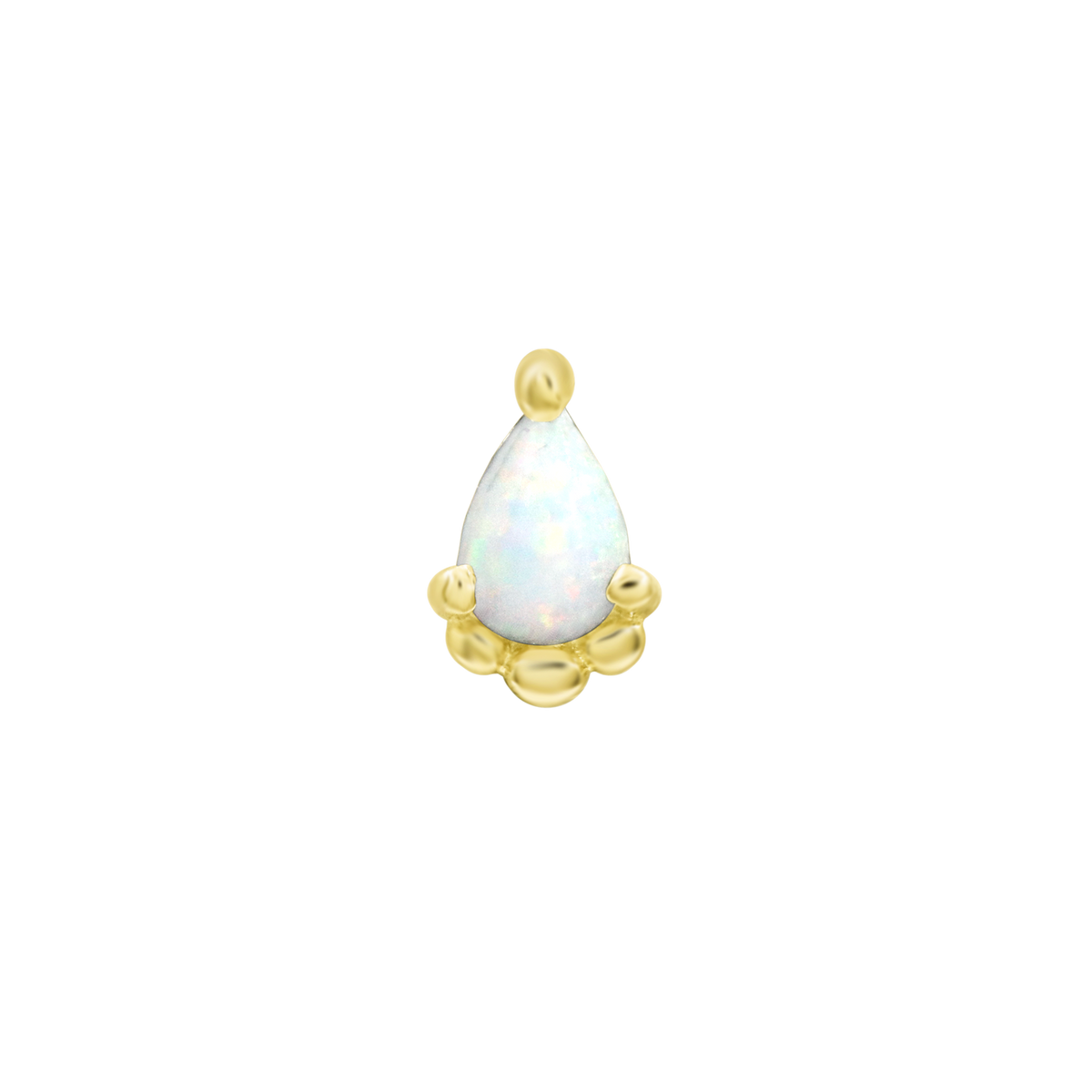 Junipurr Amani 14k Gold Piercing End product photograph