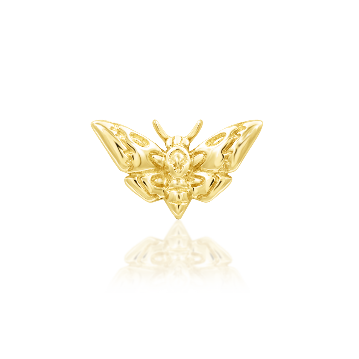 Junipurr Death's Head Moth 14k Gold Piercing End product photograph