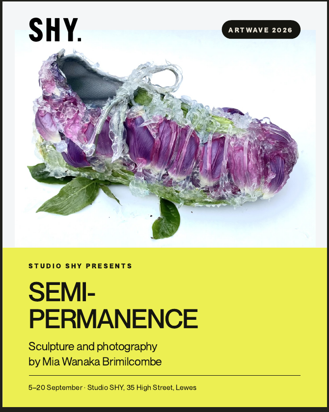 SEMI-PERMANENCE Artwave 2026 exhibition poster at SHY in Lewes