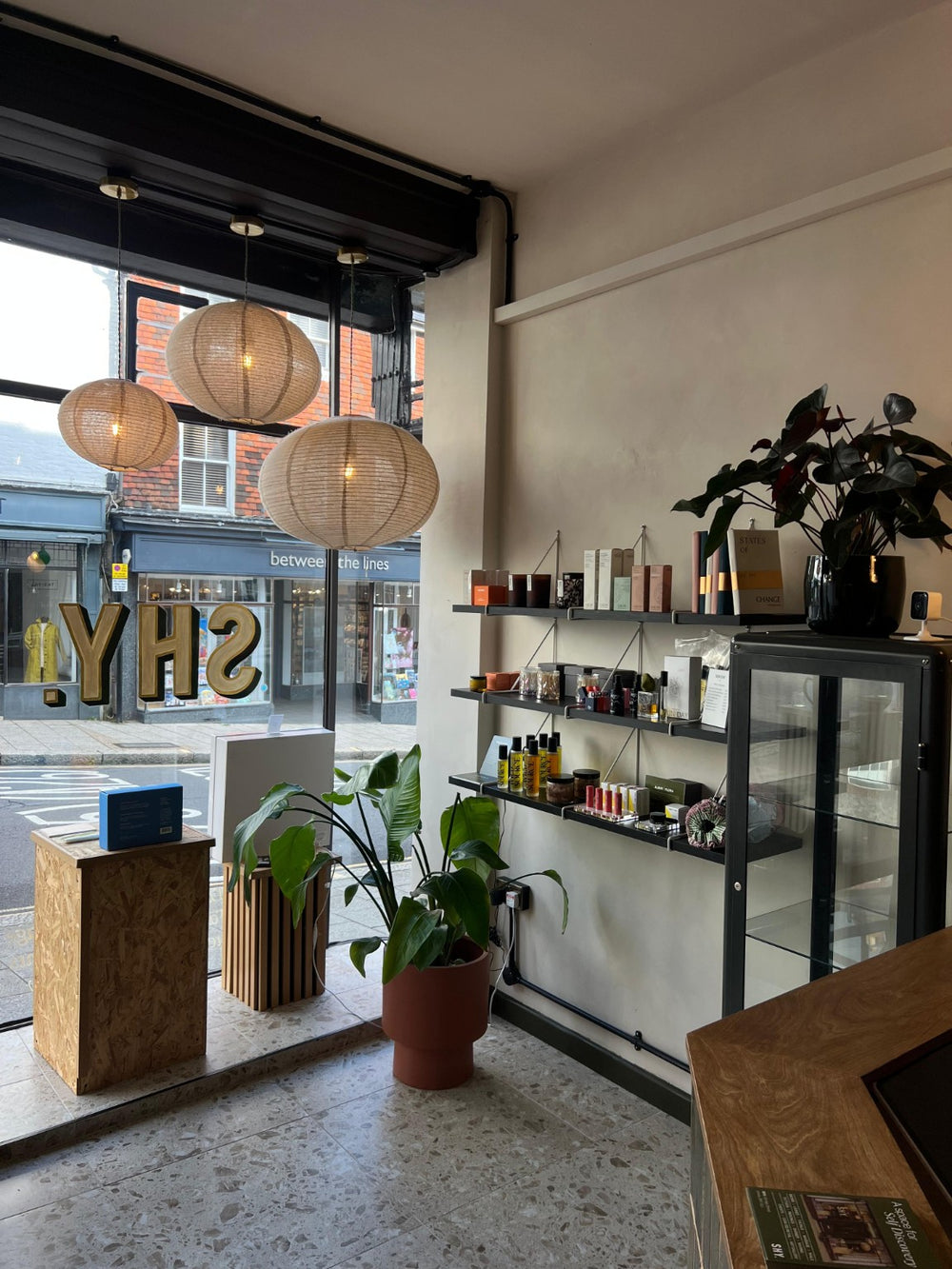 Retail shelves, plants and High Street windows inside SHY in Lewes